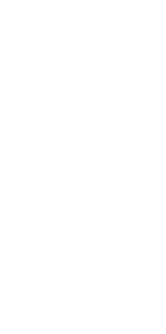 human